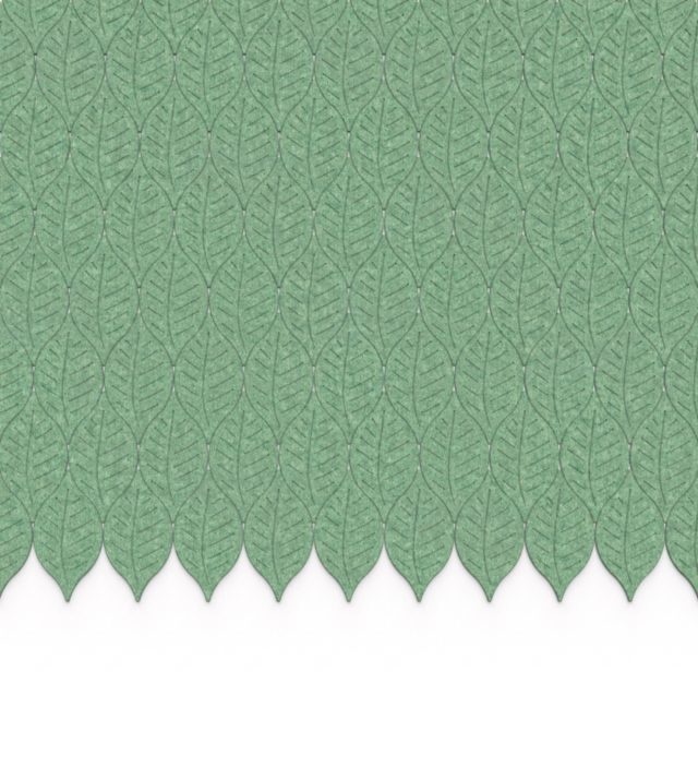 leafveins3