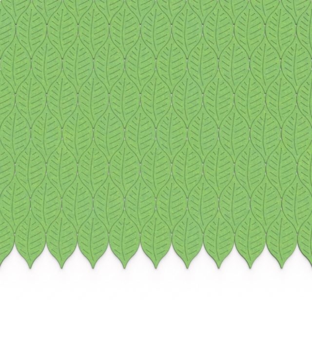 leafveins4